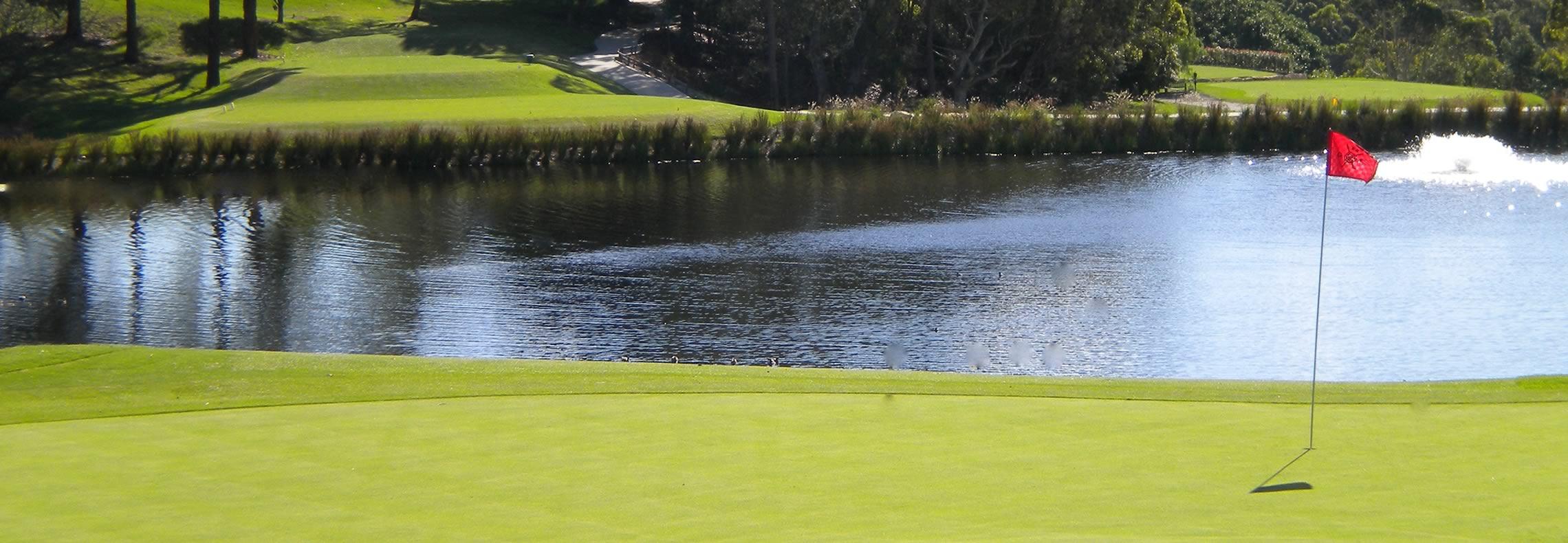 Roseville Golf Club - Saturday Clinic